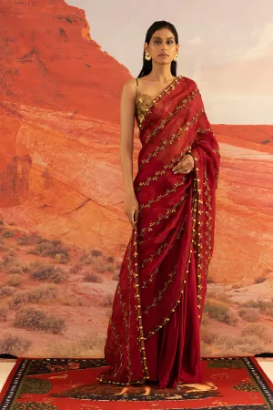 Coccinella Ivy Skein Sheer Tailored Sari