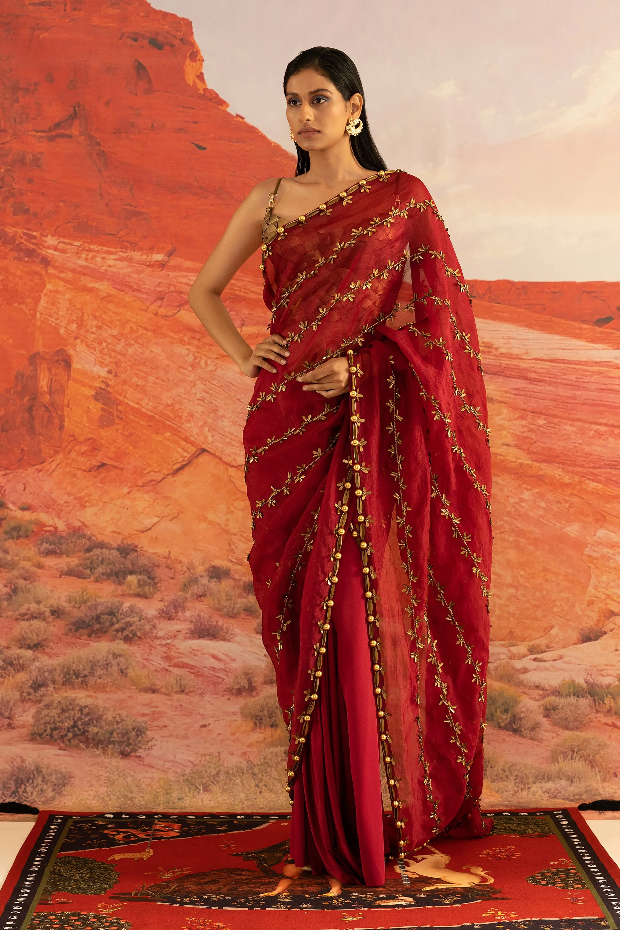 Coccinella Ivy Skein Sheer Tailored Sari